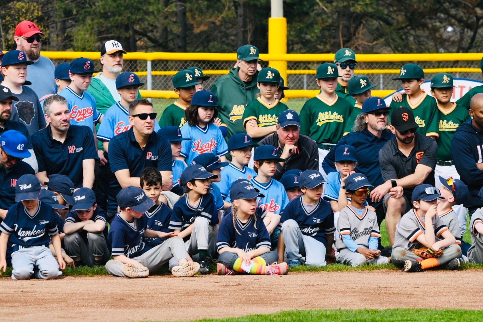 Toronto High Park BaseBall.jpg